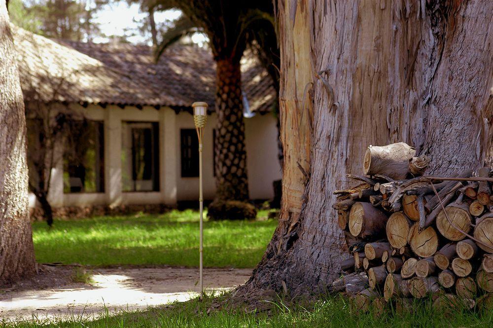 Marchihue Hacienda Historica Marchigue旅馆 外观 照片