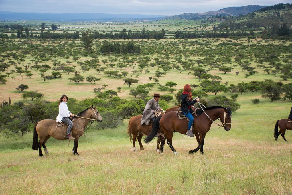 Marchihue Hacienda Historica Marchigue旅馆 外观 照片